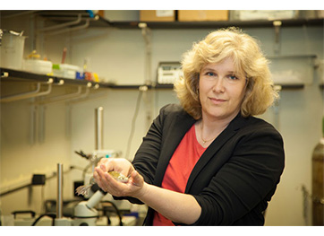 Amy Sater, University of Houston Amy Sater, University of Houston